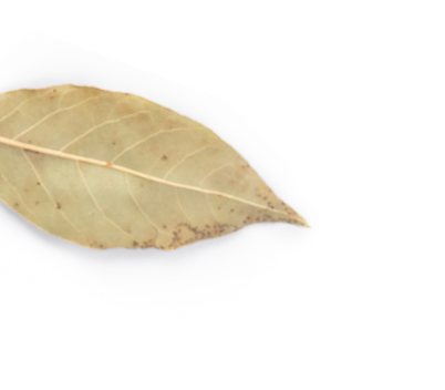 公司簡(jiǎn)介